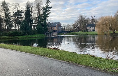 waarom wonen in Bazel